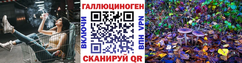 Купить  Дальнереченск  Псилоцибиновые грибы GOLDEN TEACHER 